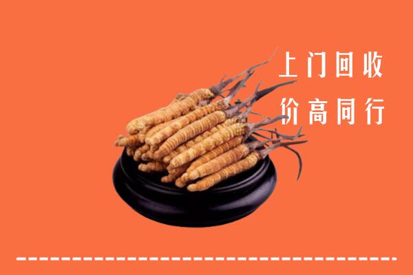 高价求购：梨树区回收散虫草
