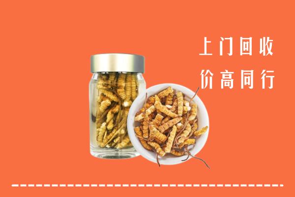 梨树区回收冬虫夏草